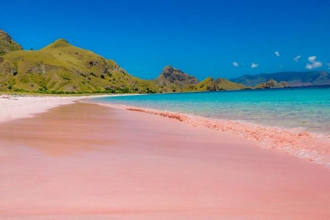 1 Day Komodo Trip by Private Fast Boat - Why the Fast Boat Matters in Komodo National Park