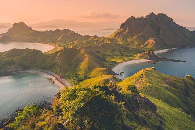 1 Day Komodo Trip by Private Fast Boat - Kanawa Island and the Final Snorkel