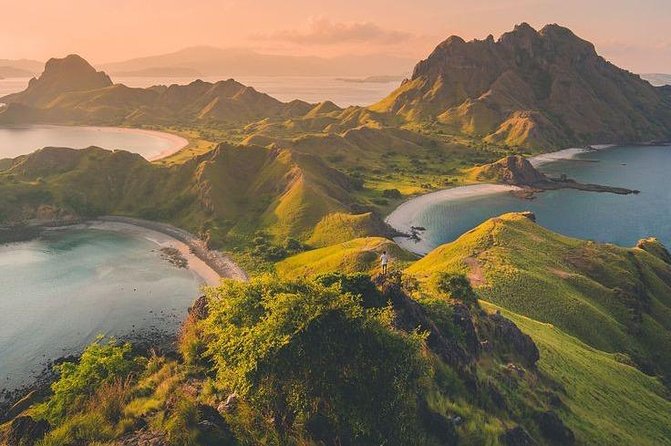1 Day Komodo Trip By Share Fast Boat - A fast way to see Komodo’s greatest hits