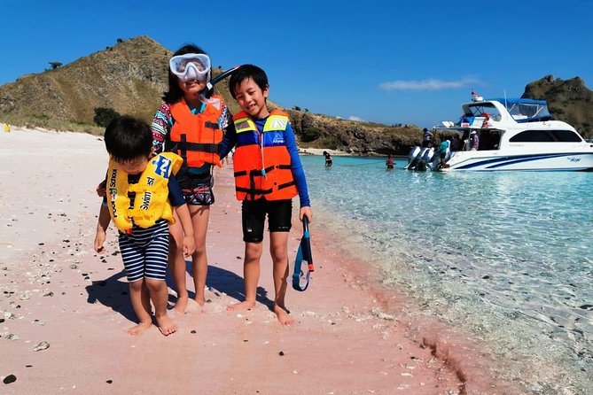 1 Day Komodo Trip By Share Fast Boat - Manta Point and the luck factor