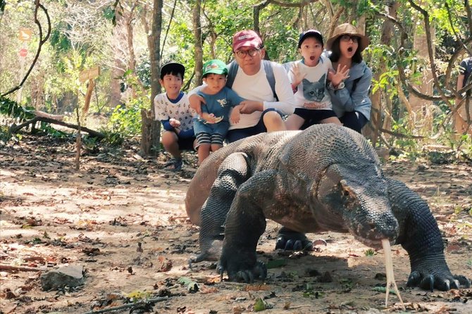 1 Day Komodo Trip By Share Fast Boat - Padar Island and the morning climb
