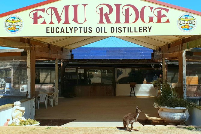 2 day Ultimate Kangaroo Island with return ferry - Day two: birds of prey and island-made products