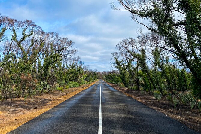 2 day Ultimate Kangaroo Island with return ferry - The real cost of $574.51 per person