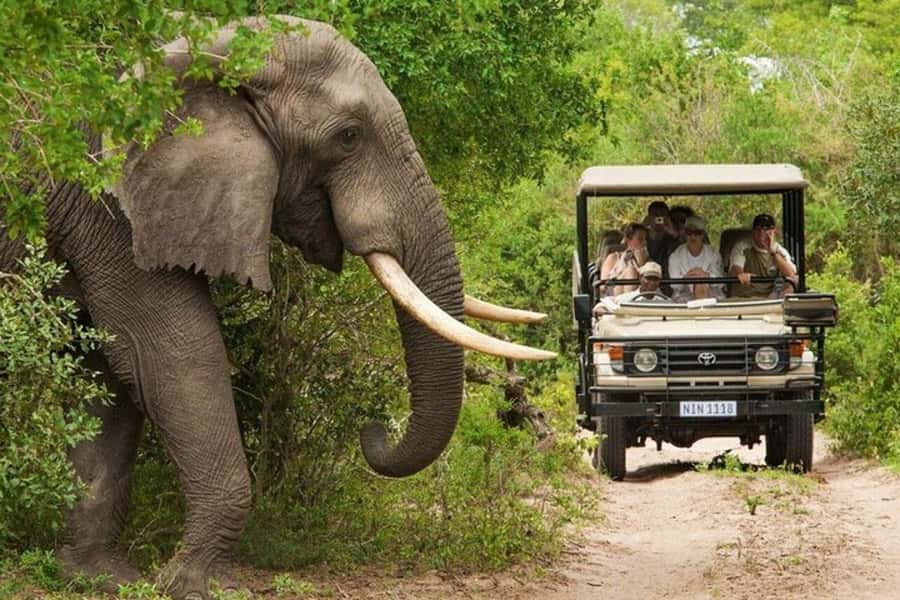 3 DAYS, 2 NIGHTS SAFARI FROM ZANZIBAR TO MIKUMI BY FERRY. - Key points to know before booking