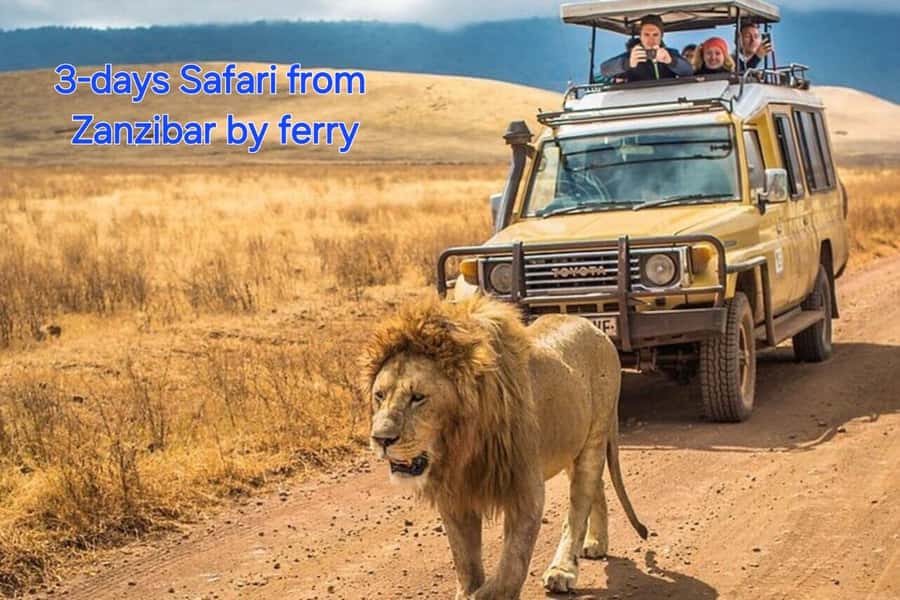 3 DAYS, 2 NIGHTS SAFARI FROM ZANZIBAR TO MIKUMI BY FERRY. - Why the ferry and train route matters