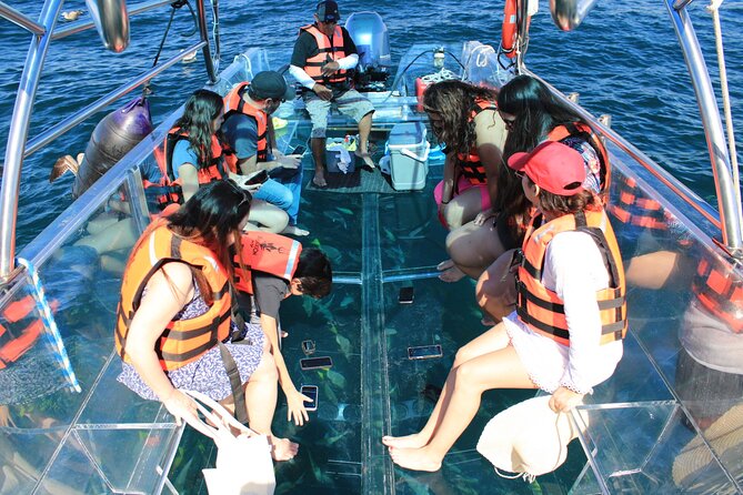 45 Minute Transparent Boat Ride to the Arch of Cabo San Lucas - Is $45 a fair price?