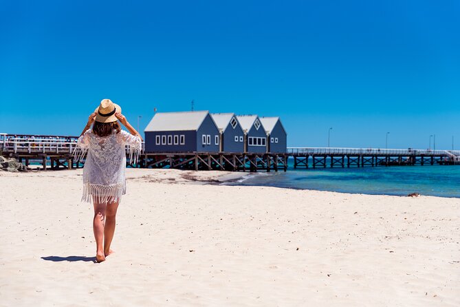 Adventure Rottnest Tour with Ferry & Adventure Cruise - Wildlife sightings: what you might see