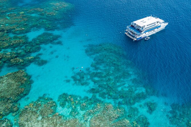Afternoon Fitzroy Island Escape – Return Ferry Included - Food, drinks, and the Foxy option