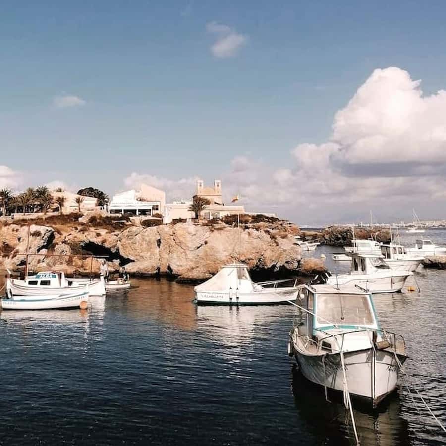 Alicante/Torrevieja: Excursion to Tabarca by ferry, Santa Pola, and Laguna Rosa - Key points at a glance