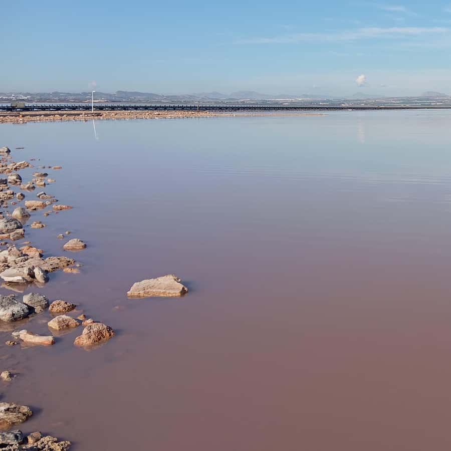 Alicante/Torrevieja: Excursion to Tabarca by ferry, Santa Pola, and Laguna Rosa - What to do with your two hours