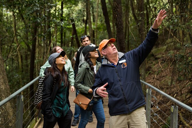 All Inclusive Blue Mountain,Scenic World,Lunch,Koalas,ferry - Why this Blue Mountains day works