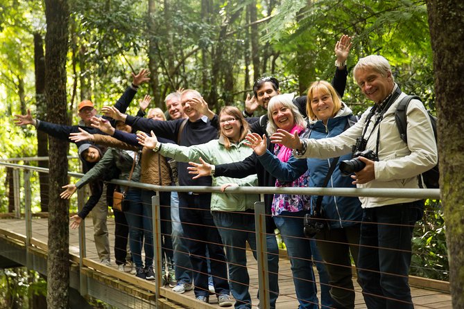 All Inclusive Blue Mountain,Scenic World,Lunch,Koalas,ferry - The Three Sisters and the first mountain views