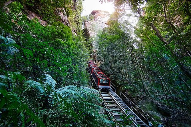 All Inclusive Blue Mountain,Scenic World,Lunch,Koalas,ferry - More than one mountain viewpoint