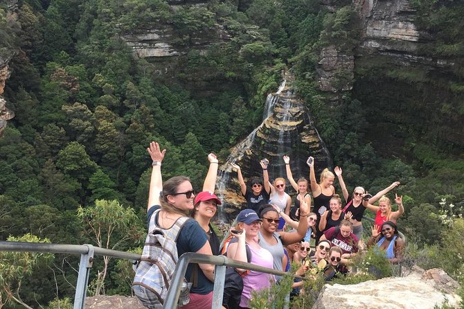All Inclusive Blue Mountain,Scenic World,Lunch,Koalas,ferry - Koalas and kangaroos at Featherdale or Sydney Zoo