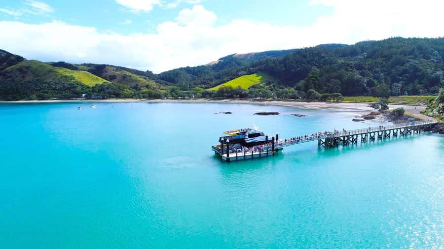 Auckland: Man O' War Vineyard Ferry (Waiheke Island) - Key points to know before you book