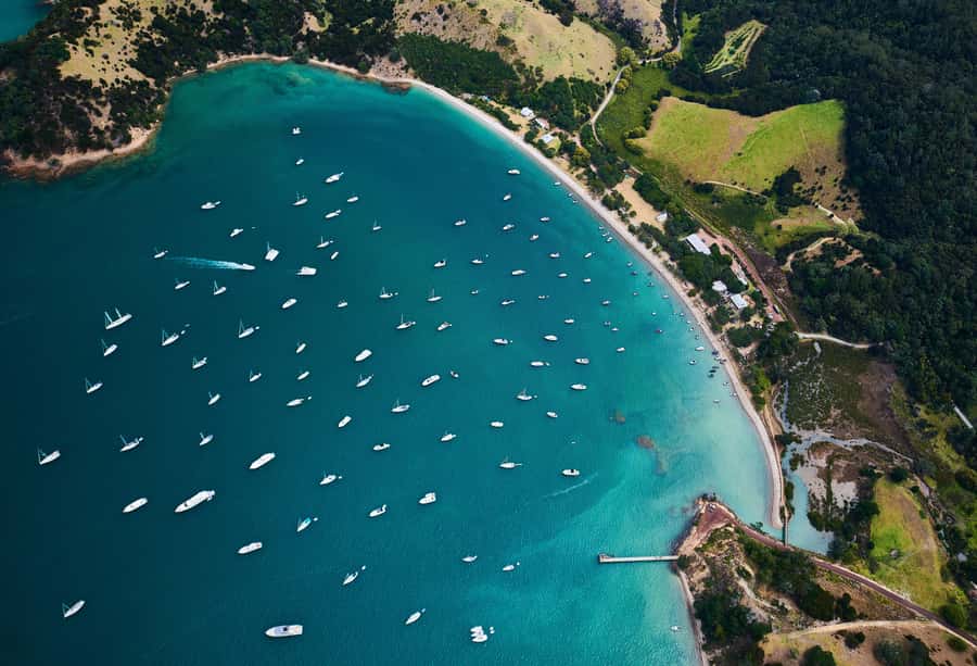 Auckland: Man O' War Vineyard Ferry (Waiheke Island) - Why Man O’ War feels different from a standard winery visit