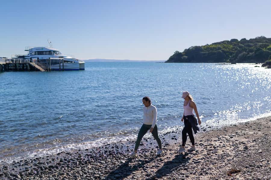 Auckland: Tiritiri Matangi Island Ferry - Key points to know before you go