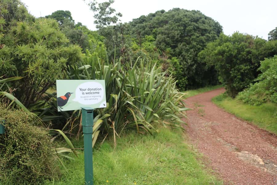 Auckland: Tiritiri Matangi Island Ferry - Practical advice for a better day