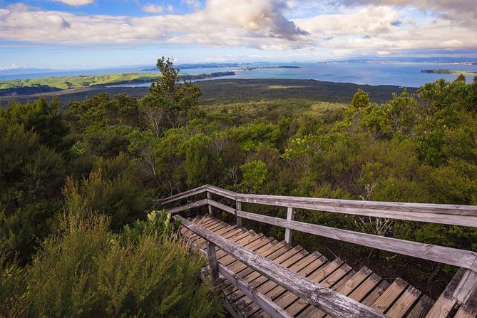 Auckland to Rangitoto Island Ferry - Lava fields, caves, and the island’s unusual scenery