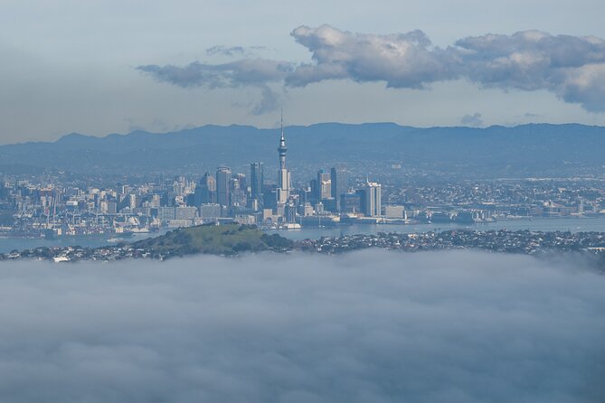 Auckland to Rangitoto Island Ferry - The ferry ride and the practical meeting point