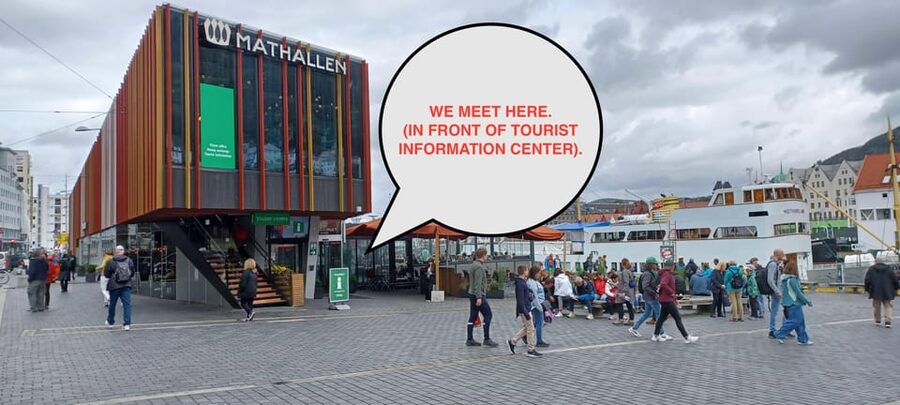 Bergen: Sightseeing Walking Tour with Ferry Ride - Thirty minutes on the Bergen ferry