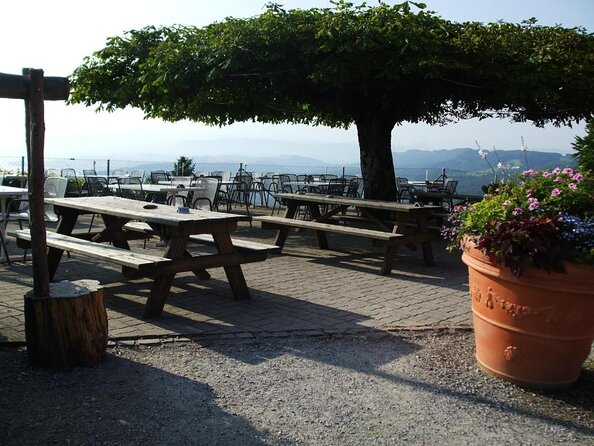 Best of Zurich Tour with Felsenegg Cable Car and Ferry Ride - A short but worthwhile walk through Altstadt