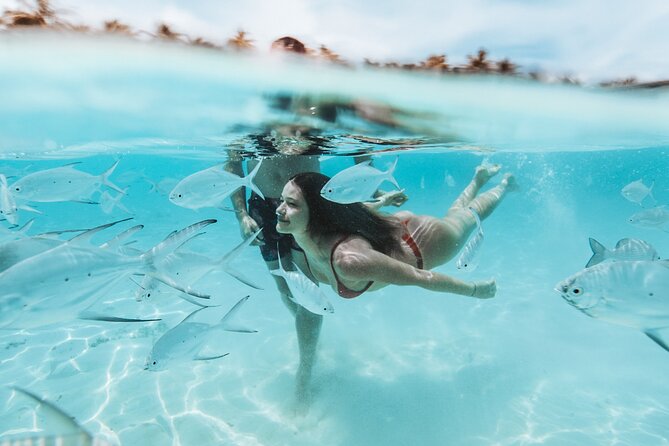 Bimini or Grand Bahama Island by Ferry - A Caribbean day trip from Fort Lauderdale