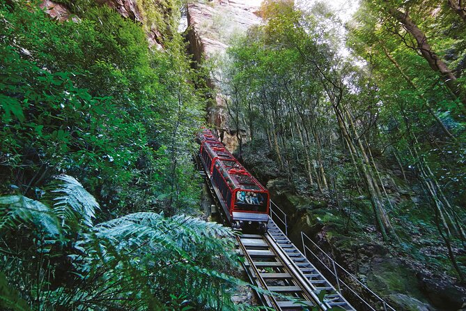 Blue Mountains Adventure w Scenic World, Zoo, Koala Photo & Ferry - Five useful things to know before you book