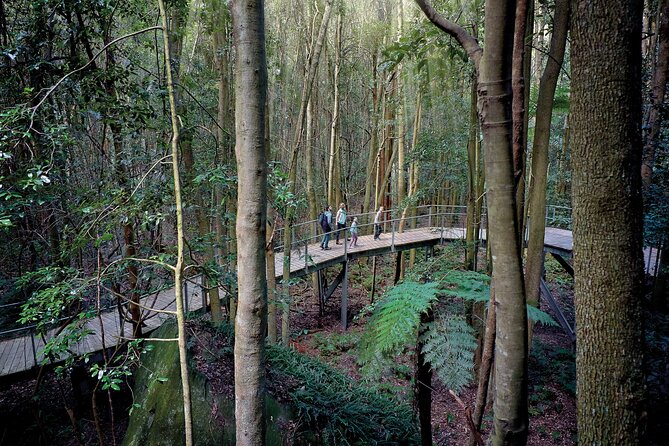 Blue Mountains Adventure w Scenic World, Zoo, Koala Photo & Ferry - Glenbrook begins the mountain day