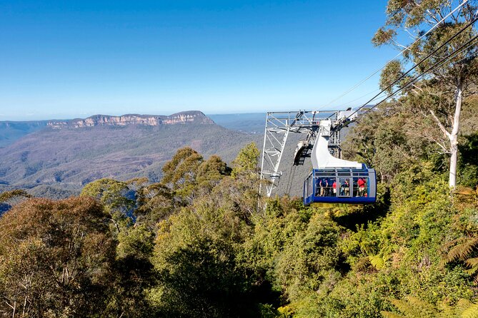 Blue Mountains Adventure w Scenic World, Zoo, Koala Photo & Ferry - Scenic World delivers the day’s biggest thrills