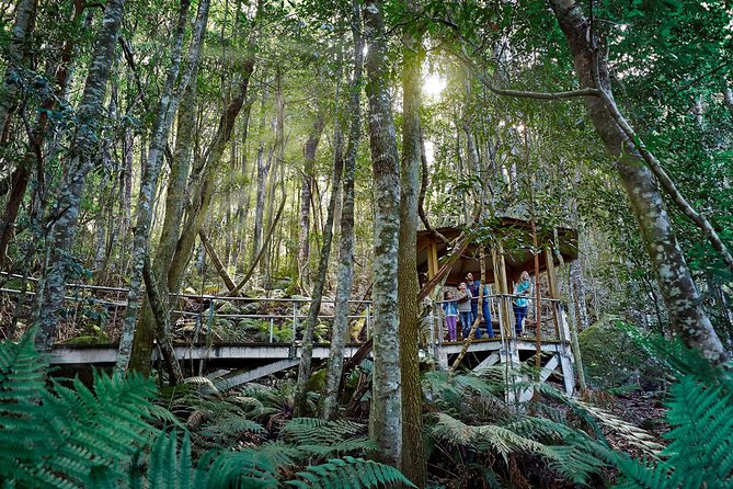 Blue Mountains Small-Group Tour from Sydney with Scenic World,Sydney Zoo & Ferry - Scenic World’s Railway, Skyway, and Cableway