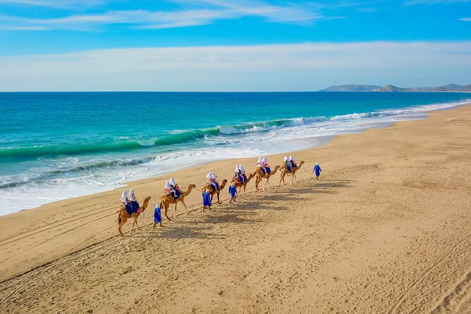 Boat Ride to the Arch and Beach Camel Ride in Cabo San Lucas - Key details to know before booking