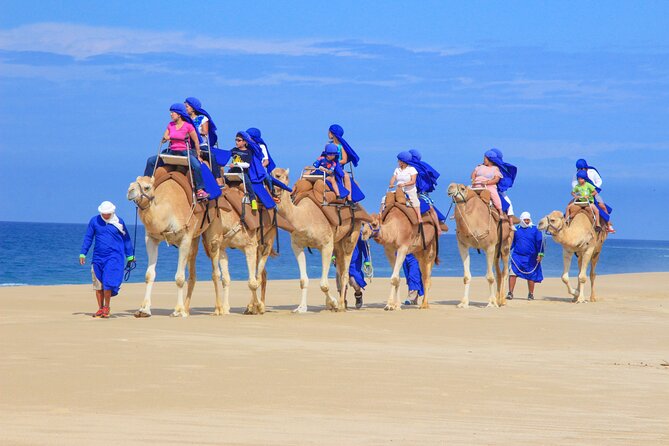 Boat Ride to the Arch and Beach Camel Ride in Cabo San Lucas - Who will enjoy this Cabo combination
