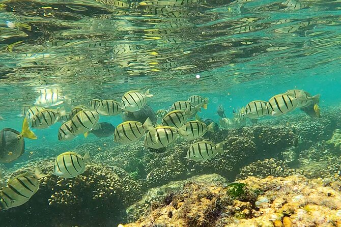 Boat ride to the Arch and Snorkel - The crew makes the difference
