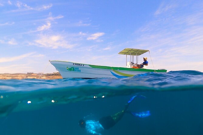 Boat ride to the Arch and Snorkel - Practical details that affect your day