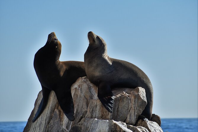 Boat ride to the Arch and Snorkel - Why Pelican Rock is the main event