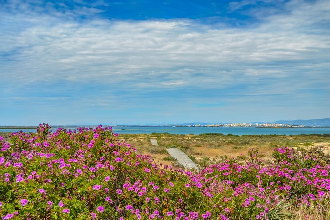 Boat trip from Faro to Ilha Deserta by Ferry - A straightforward escape from Faro