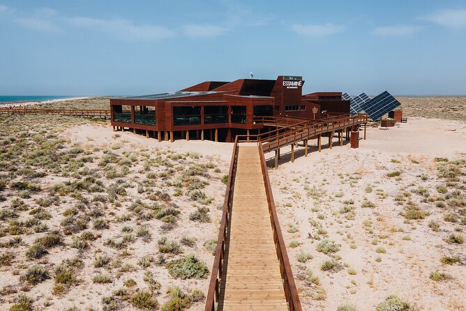 Boat trip from Faro to Ilha Deserta by Ferry - Beach time, birdwatching, and coastal scenery