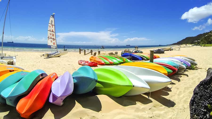 Brisbane: Moreton Island Return Ferry & Adventure Day Pass - Snorkeling among fish and wrecks