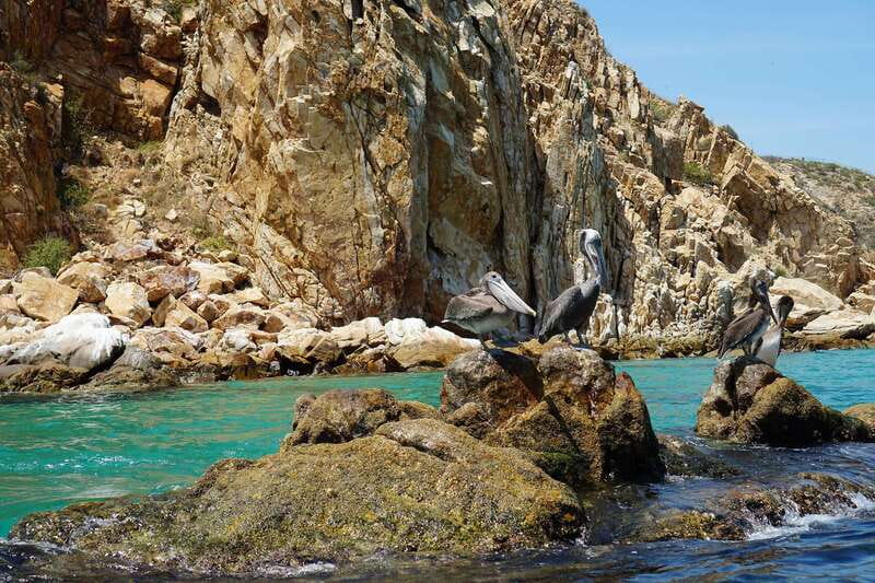 Cabo San Lucas: glass-bottom boat ride to "End of the Earth" - Tequila tasting and what is actually included