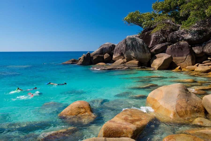 Cairns: Fitzroy Island Ferry with Optional Lunch & Activity - A full island day from Cairns
