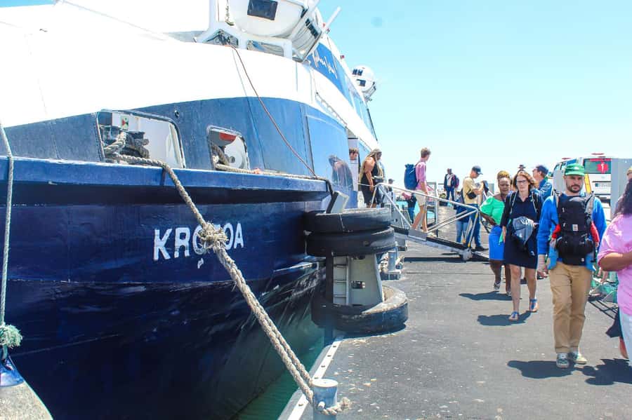 Cape Town: Robben Island ferry ticket plus Guided Tour - Key points to know before you book