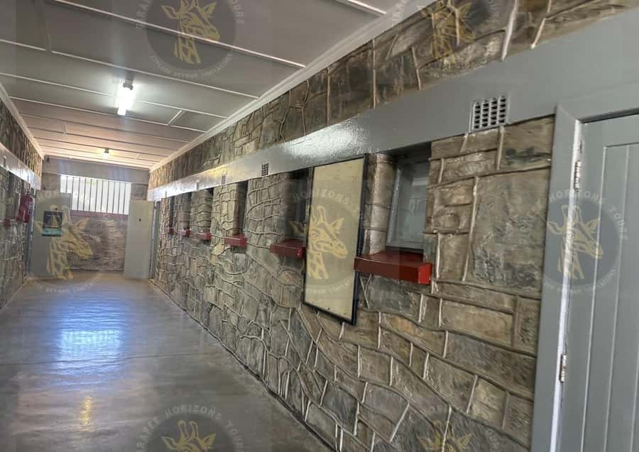 Cape Town: Robben Island Ferry with Prison Ticket and Tour - The ferry crossing to Robben Island