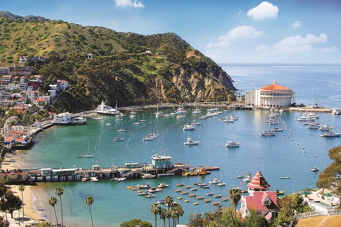 Catalina Express: Avalon to San Pedro One-Way Ferry - Pacific views without a sightseeing detour