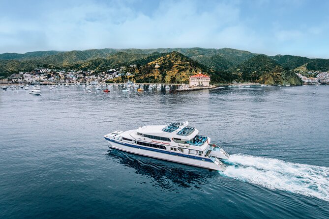 Catalina Express: San Pedro to Avalon One-Way Ferry - Arriving at Berth 95 in San Pedro