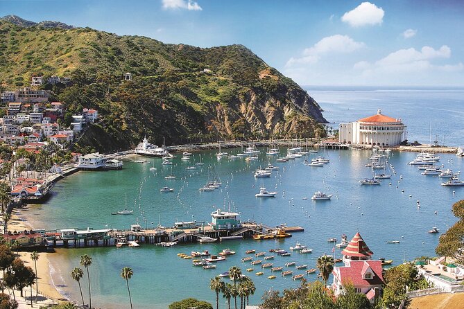 Catalina Express: San Pedro to Avalon One-Way Ferry - The one-hour crossing across the Pacific