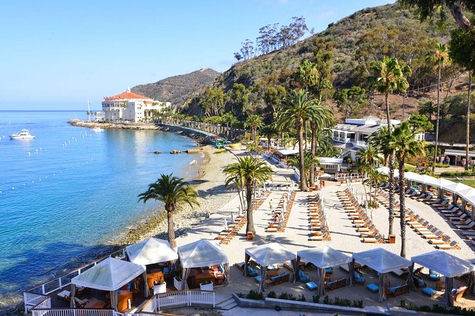 Catalina Express: San Pedro to Avalon One-Way Ferry - How to plan your time in Avalon
