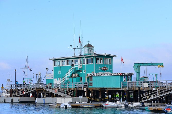 Catalina Express: San Pedro to Avalon One-Way Ferry - Luggage, animals, and access