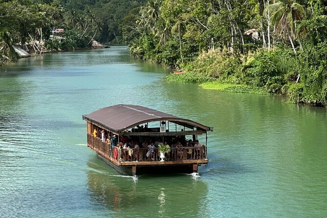 Cebu-Bohol Day Tour + Ferry Tickets - Quiet time with Bohol’s tarsiers