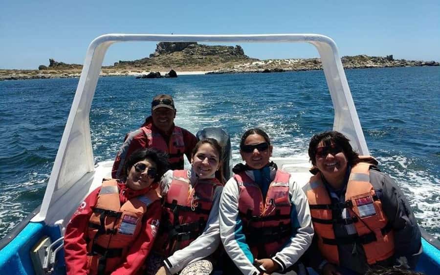 Chañaral de Aceituno boat ticket - Key points to know before you go